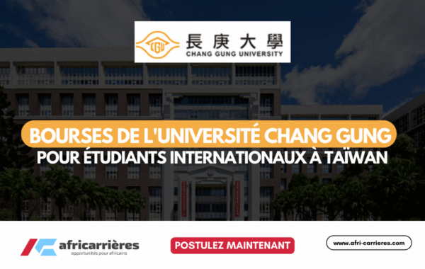 Programme de bourses DAAD pour etudiants des pays africains 1 1