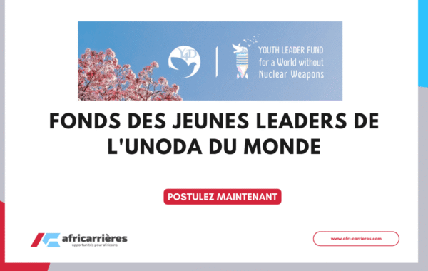 Programme de bourses DAAD pour etudiants des pays africains 1 2