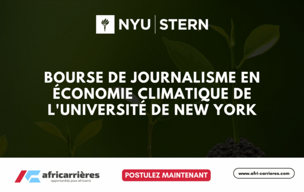 Programme de bourses DAAD pour etudiants des pays africains 9