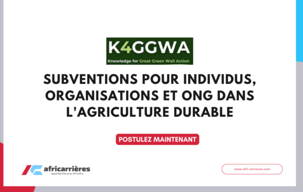 Programme de bourses DAAD pour etudiants des pays africains 37 1