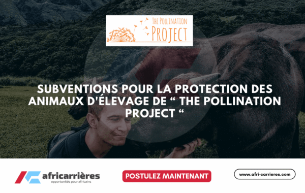 Programme de bourses DAAD pour etudiants des pays africains 19