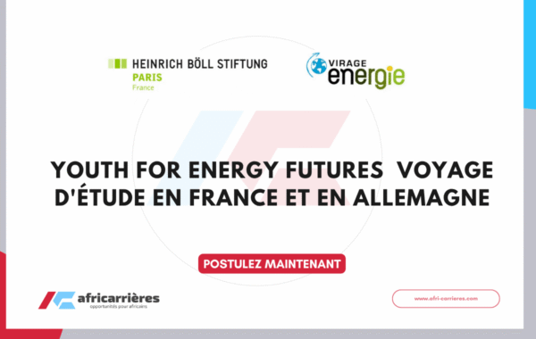 Programme de bourses DAAD pour etudiants des pays africains 3 1