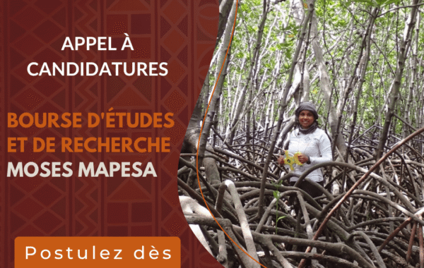Appel a candidatures Bourse Moses Mapesa pour leducation et la recherche