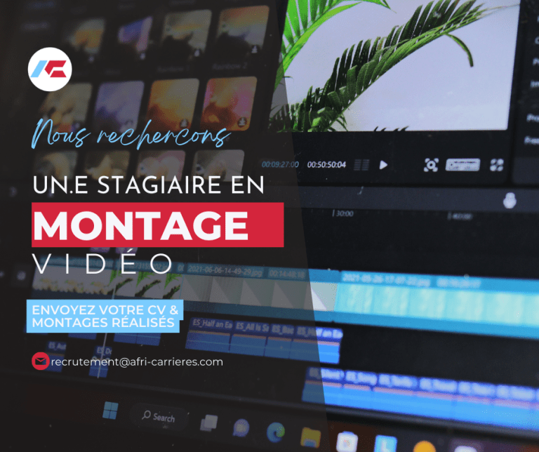 Offre de Stage Monteur Vidéo Débutant.e