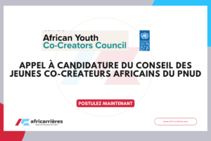 African Youth Co-Creators Council 2026 du PNUD