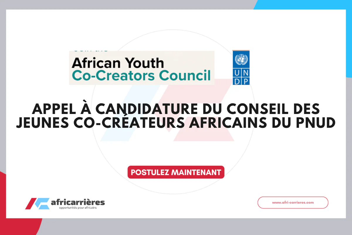 African Youth Co-Creators Council 2026 du PNUD