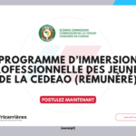 Programme d’immersion professionnelle des Jeunes de la CEDEAO Cohorte 2027 (rémunéré)