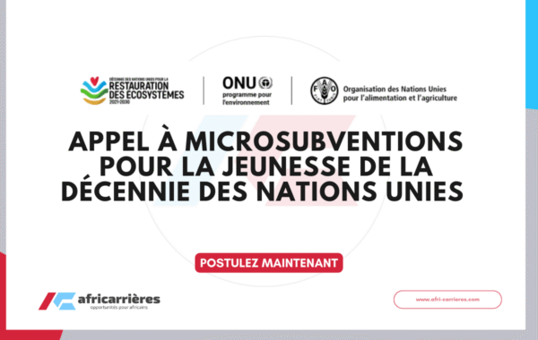 Appel a Microsubventions pour la Jeunesse de la Decennie des Nations Unies 2026