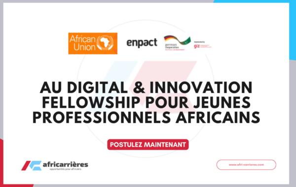 AU Digital Innovation Fellowship pour jeunes professionnels africains 1