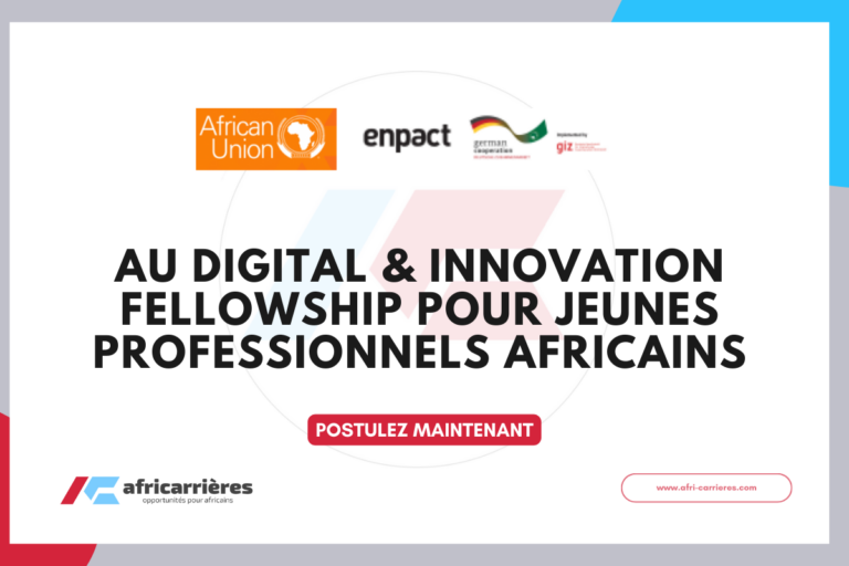 AU Digital & Innovation Fellowship pour jeunes professionnels africains