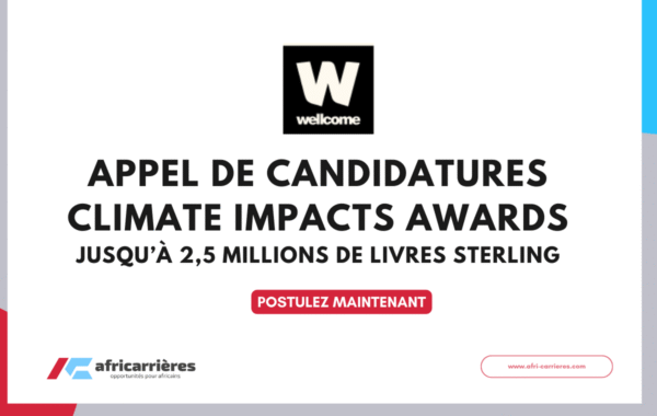 Programme de bourses DAAD pour etudiants des pays africains 33