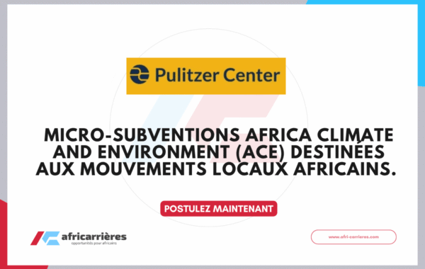 Programme ACE Microgrants 2026 pour organisation locale en Afrique