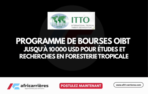Programme de bourses OIBT 2026 Jusqua 10 000 USD pour etudes et recherches en foresterie tropicale