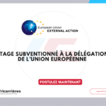 Stage subventionné à la Délégation de l’Union européenne en Guinée-Bissau